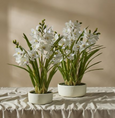 Artificial Cymbidium Orchid Pot in white with lifelike green foliage and decorative pot, 85cm tall.