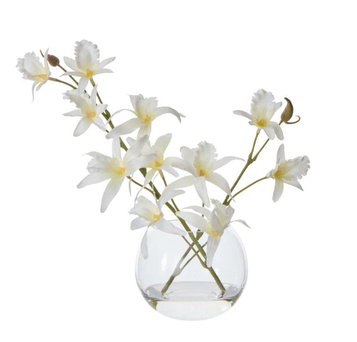 White dendrobium orchid arrangement in glass sphere vase with faux water