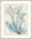 Seaweed Collage I Pale Blue Designer Boys coastal artwork featuring layered pale blue seaweed design on neutral background