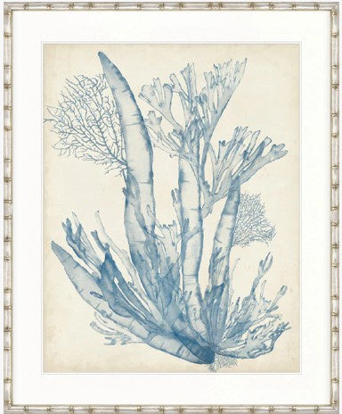 Seaweed Collage I Pale Blue Designer Boys coastal artwork featuring layered pale blue seaweed design on neutral background