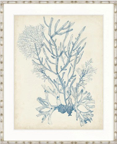 Seaweed Collage II Pale Blue Designer Boys coastal artwork featuring detailed pale blue seaweed design on neutral background