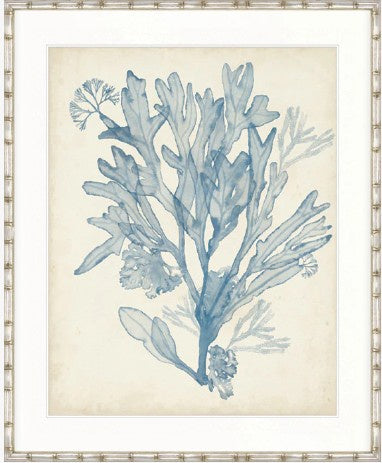 Seaweed Collage III Pale Blue Designer Boys coastal artwork featuring pale blue seaweed design on neutral background