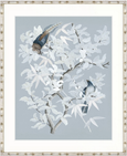 Designer Boys Alsatian Blooms I Framed Print 