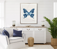 Designer Boys Fanciful Butterfly V_hamptons style above console