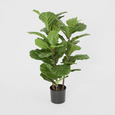 Artificial fiddle leaf tree with glossy green leaves in black nursery pot
