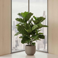 Faux fiddle leaf fig tree styled indoors with lush layered foliage