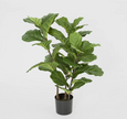 Artificial fiddle leaf tree with glossy green leaves in black nursery pot