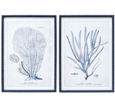 A pair of large, matching framed art prints. Each print features a detailed botanical sketch of branching coral in deep navy blue on a white background. The prints are framed in a simple, dark-coloured frame.