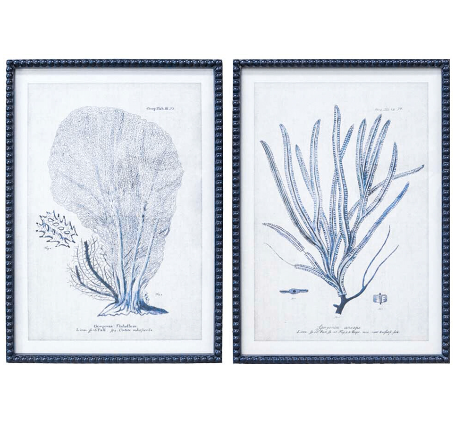 A pair of large, matching framed art prints. Each print features a detailed botanical sketch of branching coral in deep navy blue on a white background. The prints are framed in a simple, dark-coloured frame.