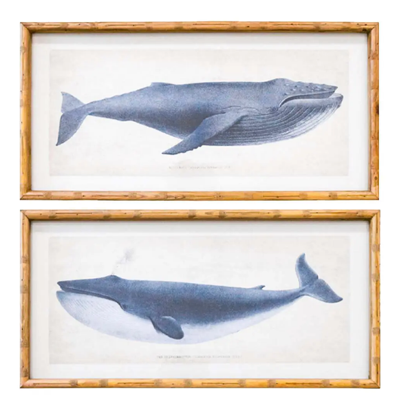 Set of 2 framed whale prints with natural fir wood frame and glass front, 30x75cm coastal wall art.