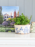 Blue and white ceramic planter styled on a white shelf with lush green foliage, paired with Hamptons-style décor and garden book in a light coastal interior.