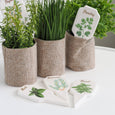 Mixed Herbs 3 Asst Designs - Hamptons Style