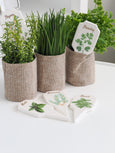 Herb garden stakes set with illustrated ceramic markers for thyme, parsley, rosemary, mint and basil styled in linen pots on a white surface.