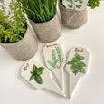 Mixed Herbs 3 Asst Designs - Hamptons Style