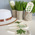 Mixed Herbs 3 Asst Designs - Hamptons Style