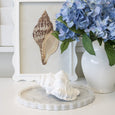 Cayman Framed Glass Shell Print - Hamptons Style