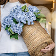 Hydrangea Bush Soft Blue 45cm - Hamptons Style