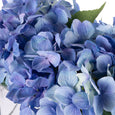 Hydrangea in Glass Trough Vase Blue