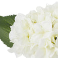 Hydrangea in Sphere Vase 25cm White