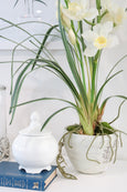 Bianca Ceramic White Jar 18cm