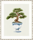 Imperial Arboretum I Designer Boys botanical artwork featuring bonsai tree in classic urn on neutral background