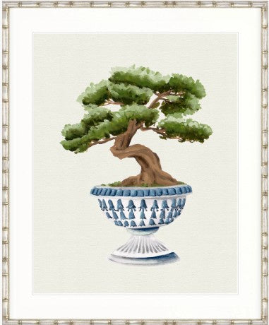 Imperial Arboretum II Designer Boys botanical artwork featuring bonsai tree in decorative blue and white urn