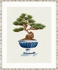 Imperial Arboretum III Designer Boys botanical artwork featuring bonsai tree in blue pedestal urn on neutral background