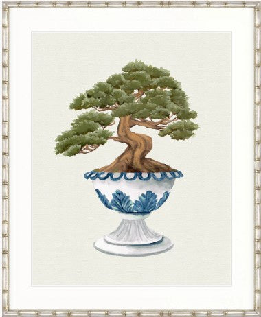 Imperial Arboretum IV Designer Boys botanical artwork featuring bonsai tree in blue and white urn on neutral background