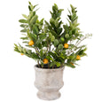 Artificial lemon and wax flower arrangement in a rustic grey Lille planter, featuring realistic yellow lemons, lush green foliage, and delicate white blooms for a fresh, summery look.