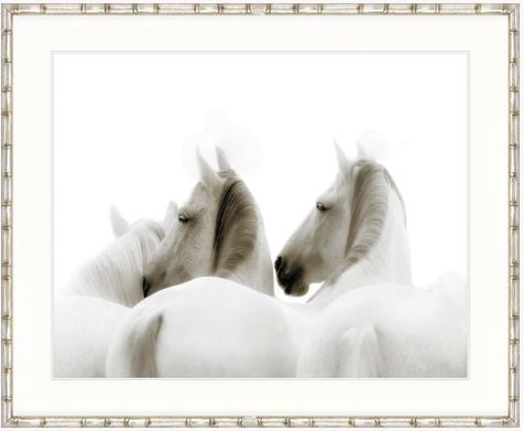 Les Chevaux II