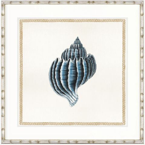 Martyn Shell II