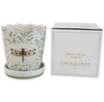 Ceramic Morris Dragonfly Planter with green leaf pattern, scalloped rim, gold edging and framed dragonfly motif, gift box shown.