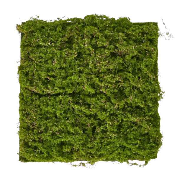 Artificial moss mat 40x40cm decorative green moss panel