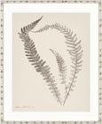 Nature Print XIV