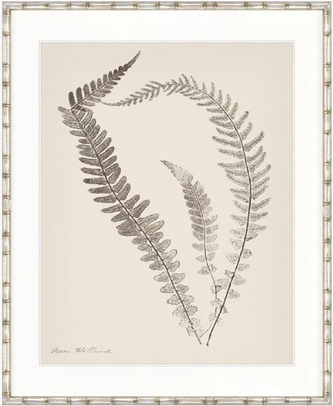 Nature Print XIV