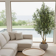 1.5m artificial olive tree styled in modern coastal living room