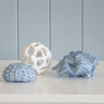 Clam Resin Shell