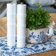 Two white salt and pepper shakers with a potted plant on a blue and white patterned placemat.