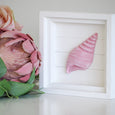 Wall Art Coastal Assorted - Hamptons Style