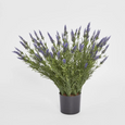 Artificial potted lavender bush 68cm with purple flowers and green foliage