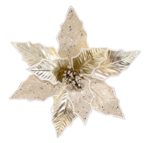 Poinsettia Clip Champagne