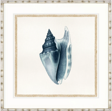 Martyn Shell IV