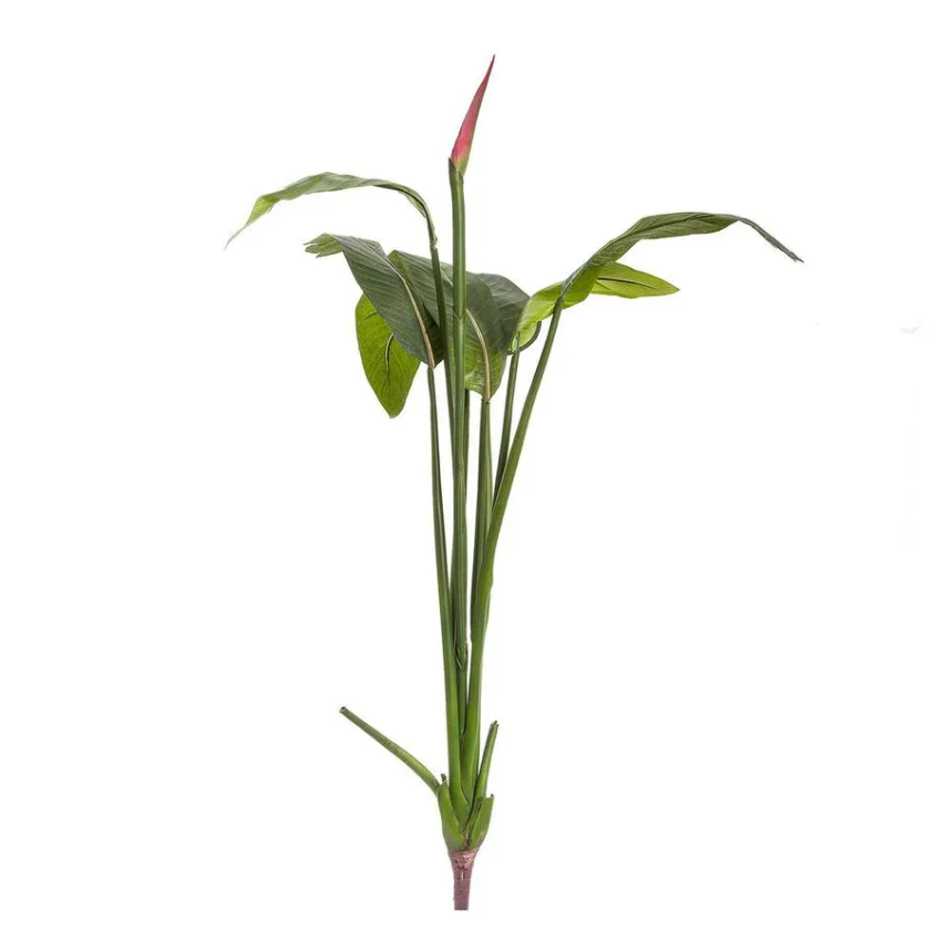 Artificial Bird of Paradise Bud 1.37m tall with large green leaves and tropical bud, lifelike low-maintenance indoor plant for home or office décor.