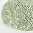 Issie Green Coral