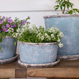 Sea Blue Wide Plant Pot & Saucer Small styled with white flowering plants alongside coordinating coastal garden planters on a timber table.