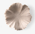 Shell Bowl Ribbed top view