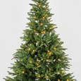 Spruce LED Christmas Tree 180cm with 230 warm white LED lights and full green branches.