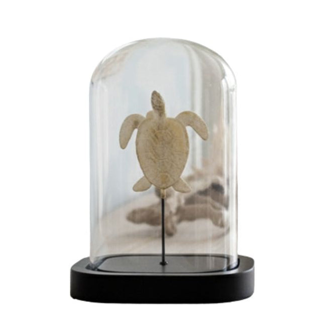 Decorative turtle cloche with glass dome and black base, 16cm.