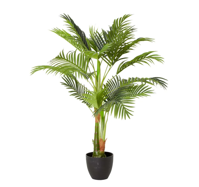 Areca Palm Real Touch 1.1 Meter