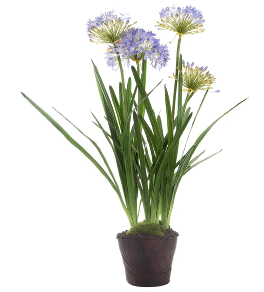 Lifelike artificial agapanthus with purple blooms in paper pot styled on indoor console table
